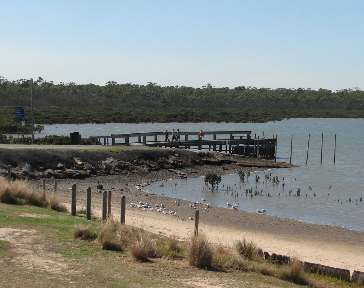 Blind_Bight_jetty.jpg